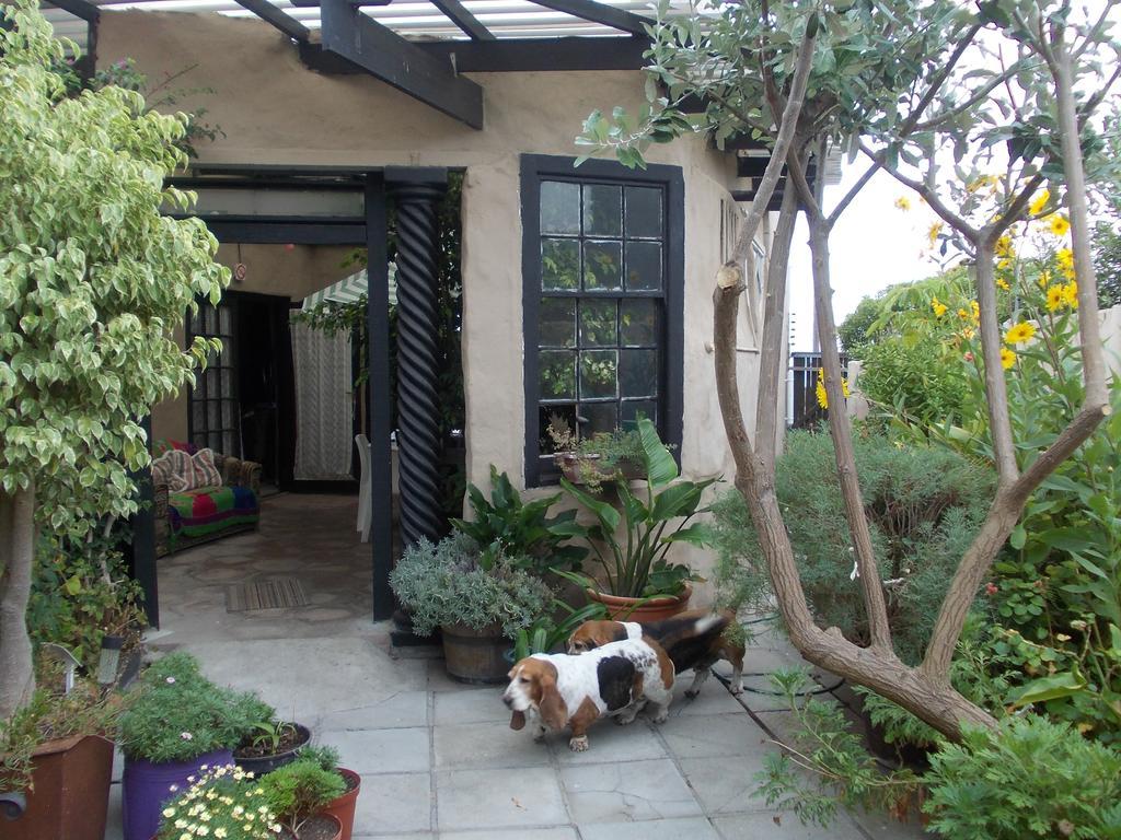 Villa Ocean Crest B&B Gansbaai Exteriér fotografie