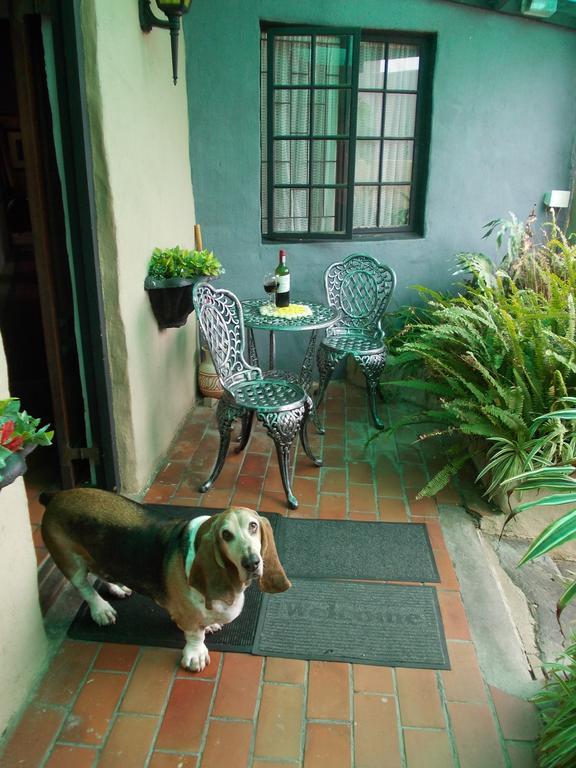 Villa Ocean Crest B&B Gansbaai Exteriér fotografie