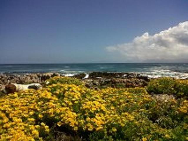 Villa Ocean Crest B&B Gansbaai Exteriér fotografie