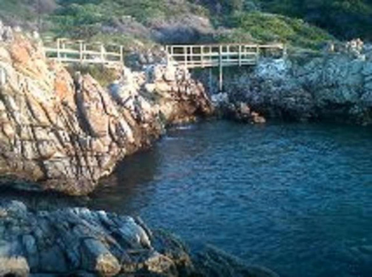 Villa Ocean Crest B&B Gansbaai Exteriér fotografie